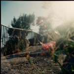 Ejercicio 2: Isabel